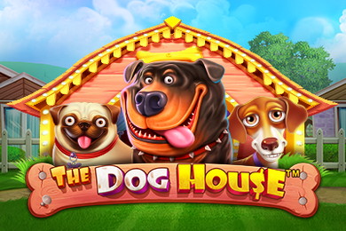 The Dog House Зума Казино слот